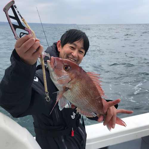 マダイの釣果