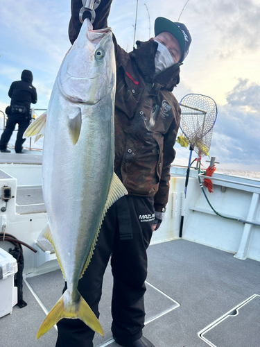 ブリの釣果