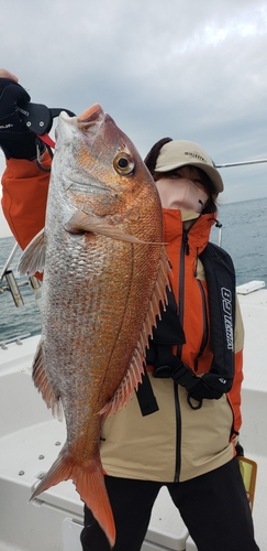 タイの釣果