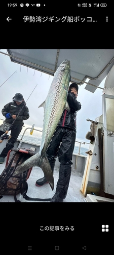 サワラの釣果