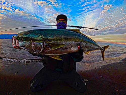 ワラサの釣果