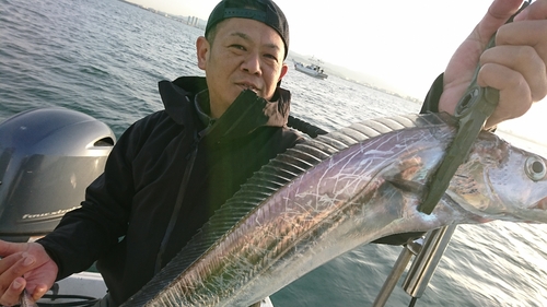 タチウオの釣果