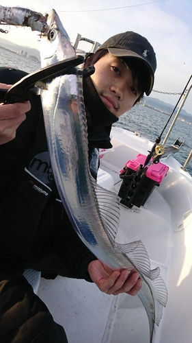 タチウオの釣果