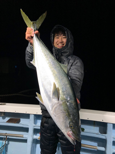 ブリの釣果