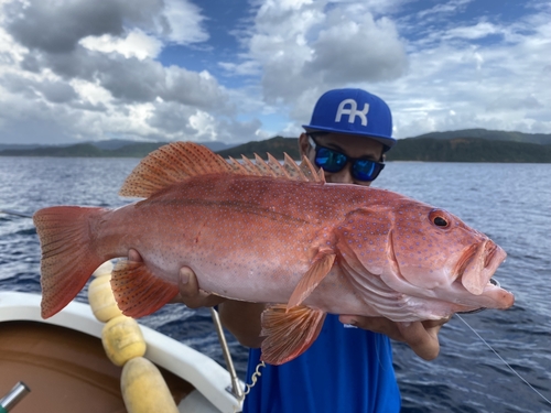 スジアラの釣果