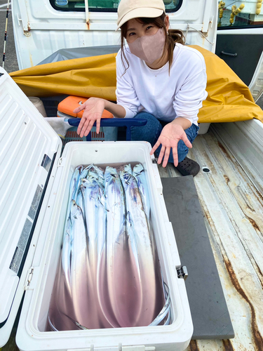 タチウオの釣果