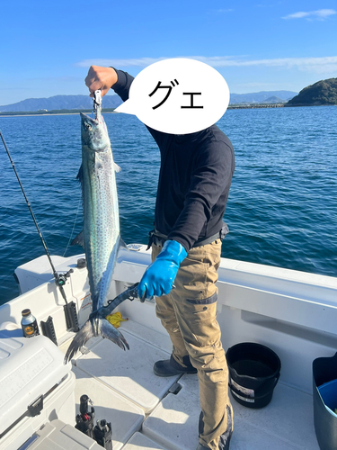 サワラの釣果