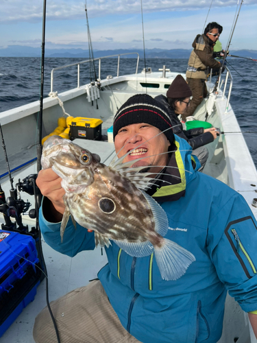 マトウダイの釣果