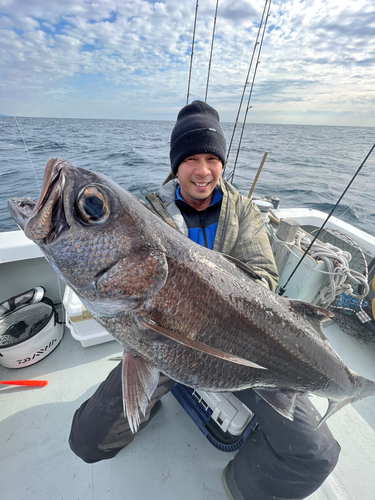 クロムツの釣果