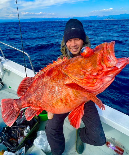 ウッカリカサゴの釣果