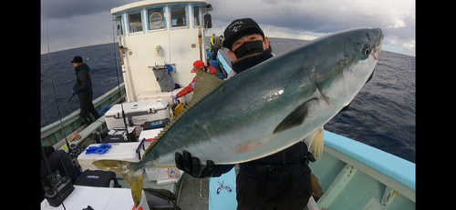 ブリの釣果