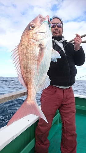 マダイの釣果