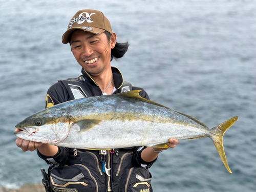 ヒラマサの釣果