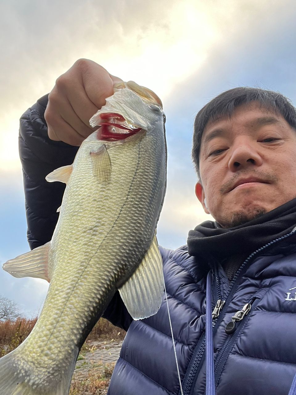 ラージマウスバス