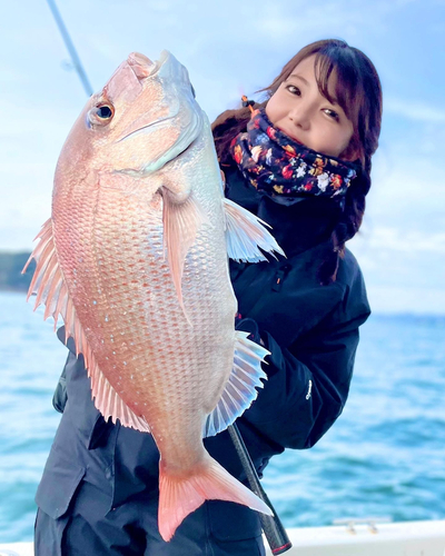 タイの釣果