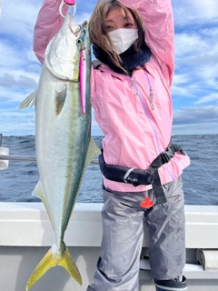 ブリの釣果