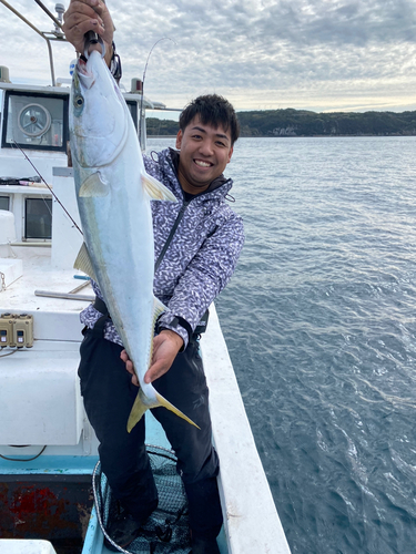 ブリの釣果