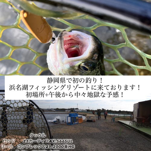 ニジマスの釣果