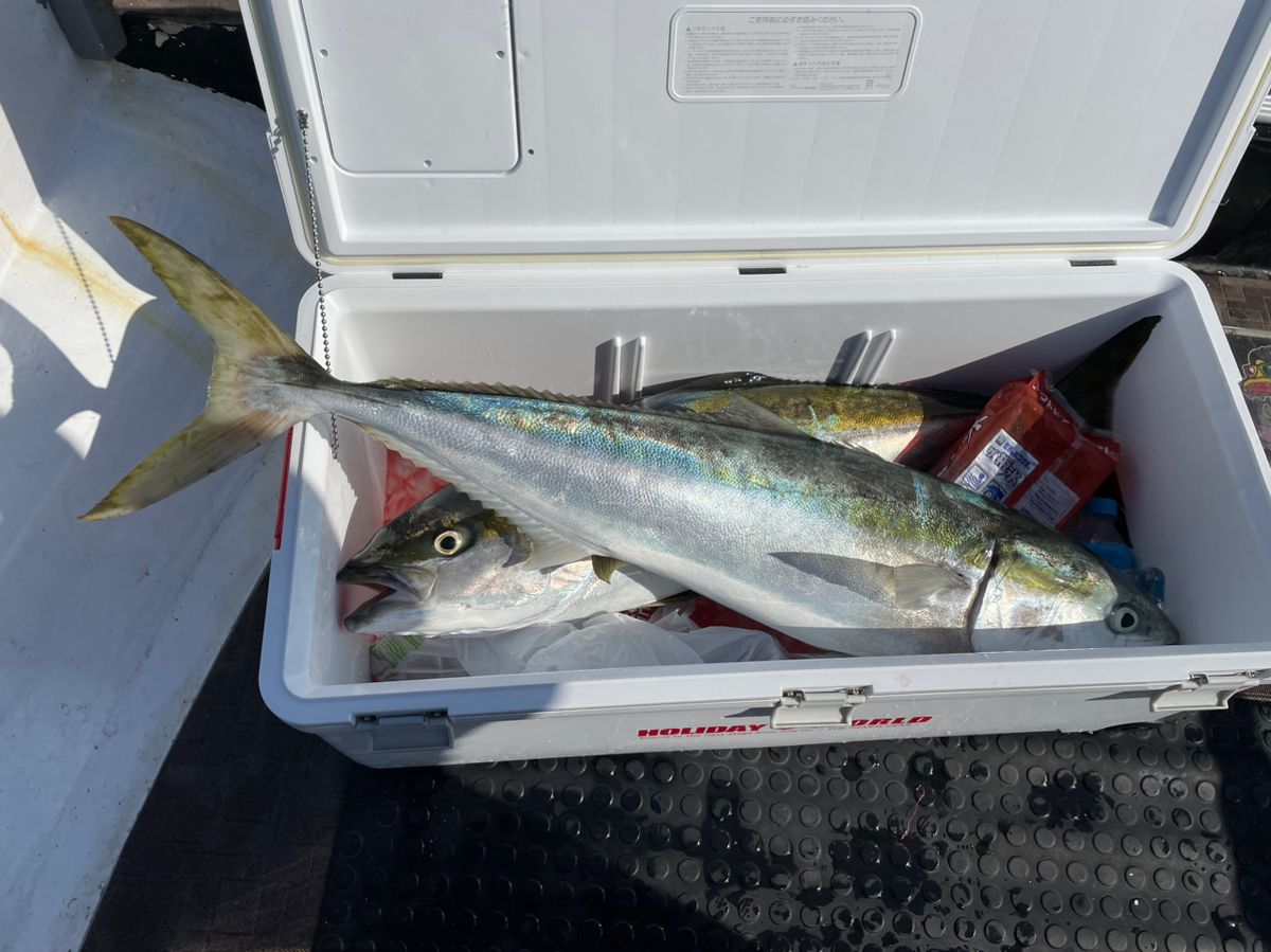 なんでも屋さんの釣果 3枚目の画像