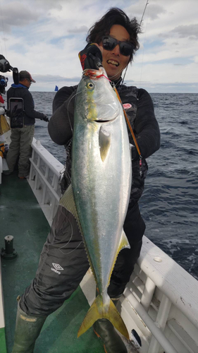 ブリの釣果