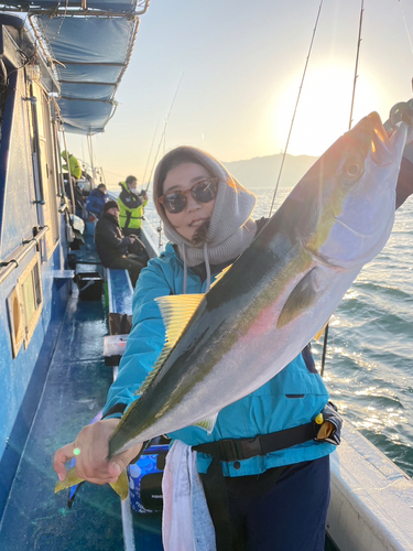 ハマチの釣果