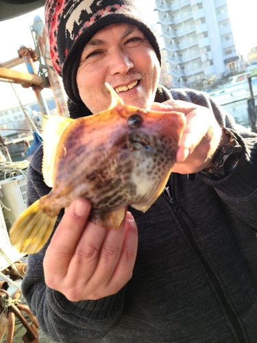 カワハギの釣果