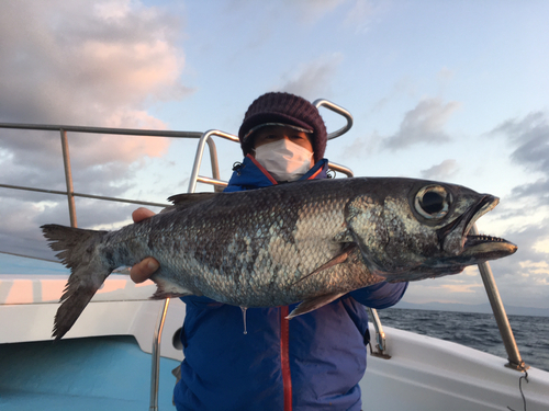 クロムツの釣果