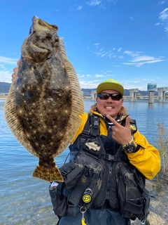 ヒラメの釣果