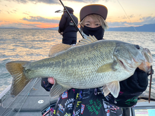 ブラックバスの釣果