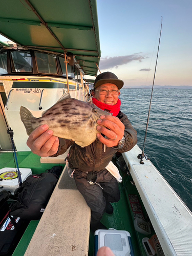 カワハギの釣果