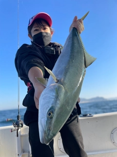 ブリの釣果