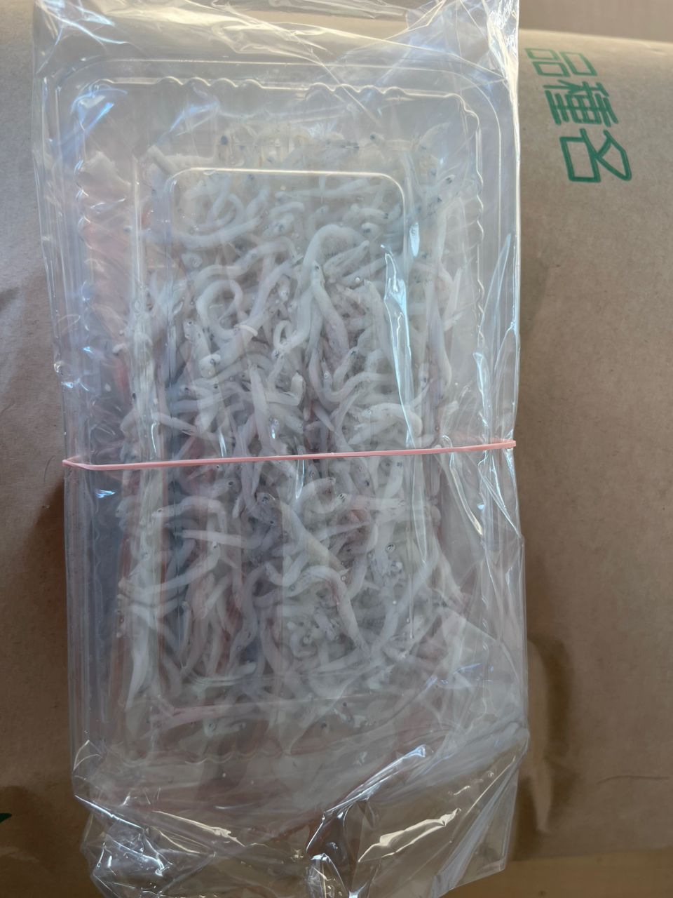 腹の上のポニョ（佐藤）🐡さんの釣果 2枚目の画像