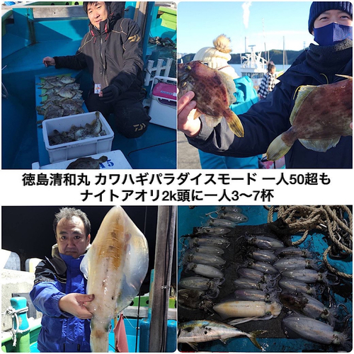 カワハギの釣果