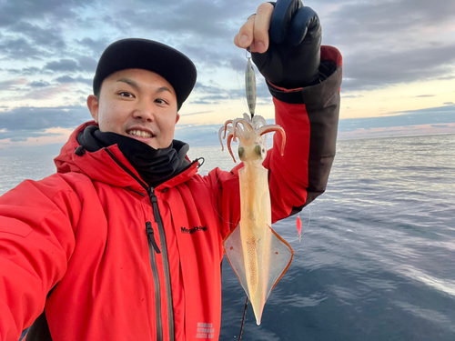 ヤリイカの釣果