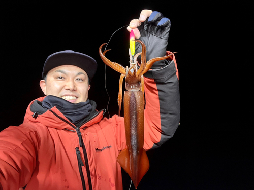 スルメイカの釣果