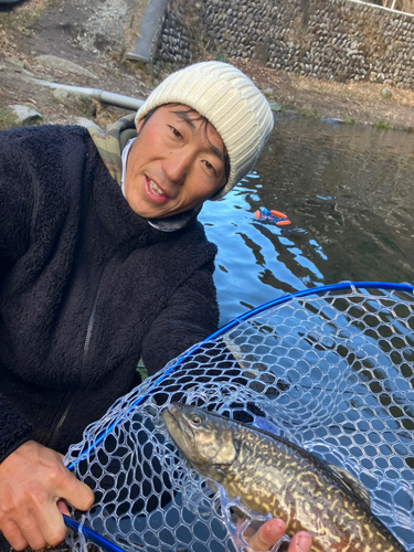 タイガートラウトの釣果