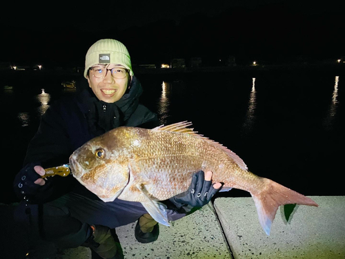 タイの釣果