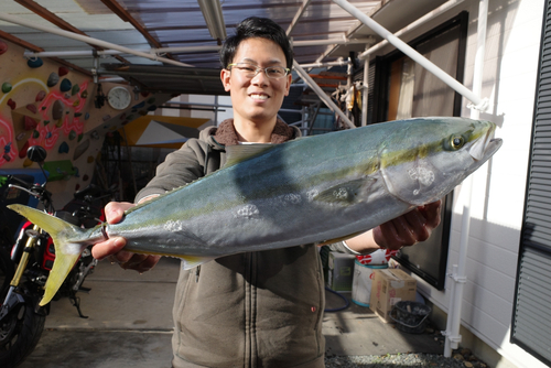 ワラサの釣果