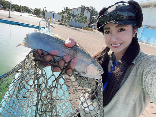 レインボートラウトの釣果