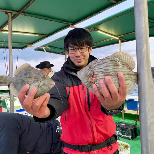 カワハギの釣果