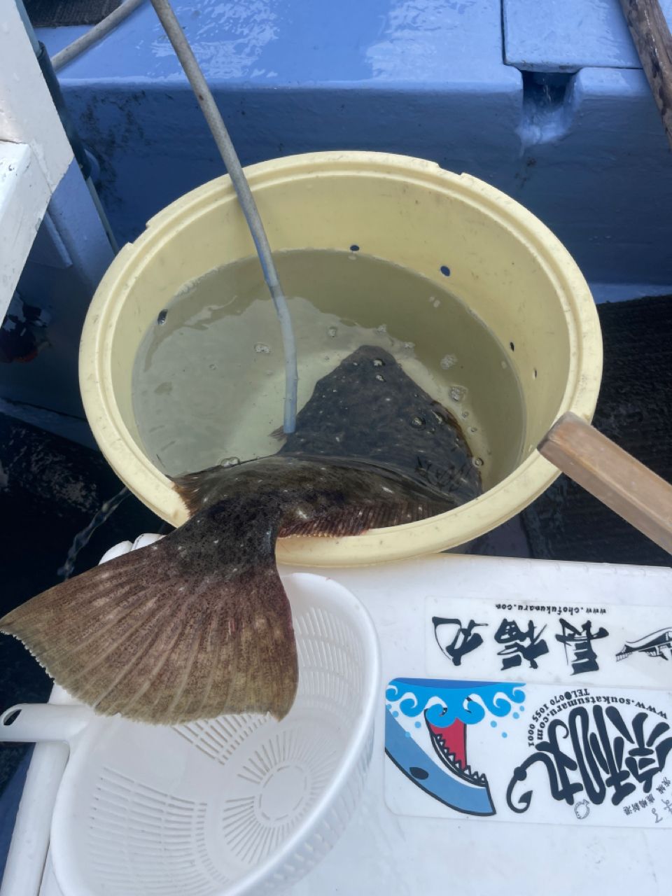 腹の上のポニョ（佐藤）🐡さんの釣果 2枚目の画像