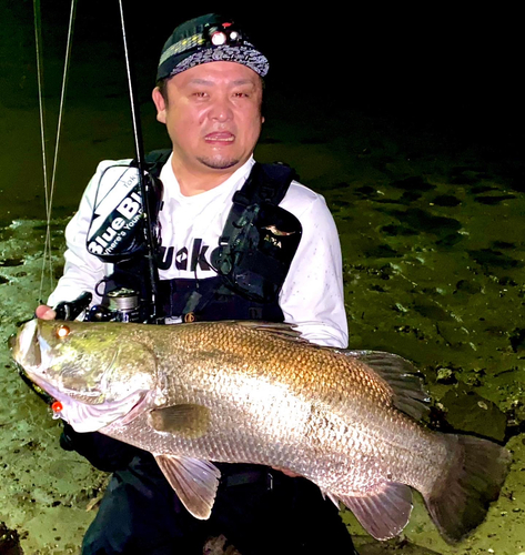 アカメの釣果