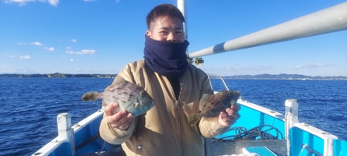 カワハギの釣果