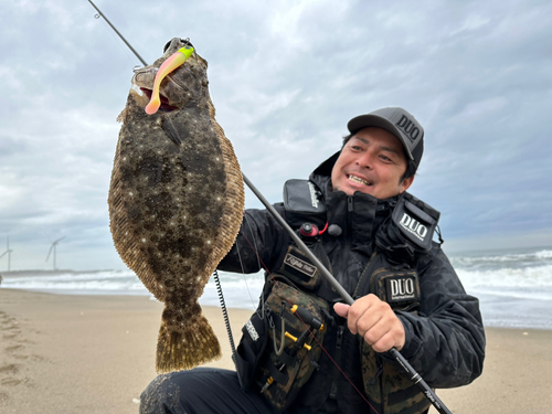 ヒラメの釣果