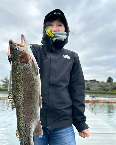 ニジマスの釣果