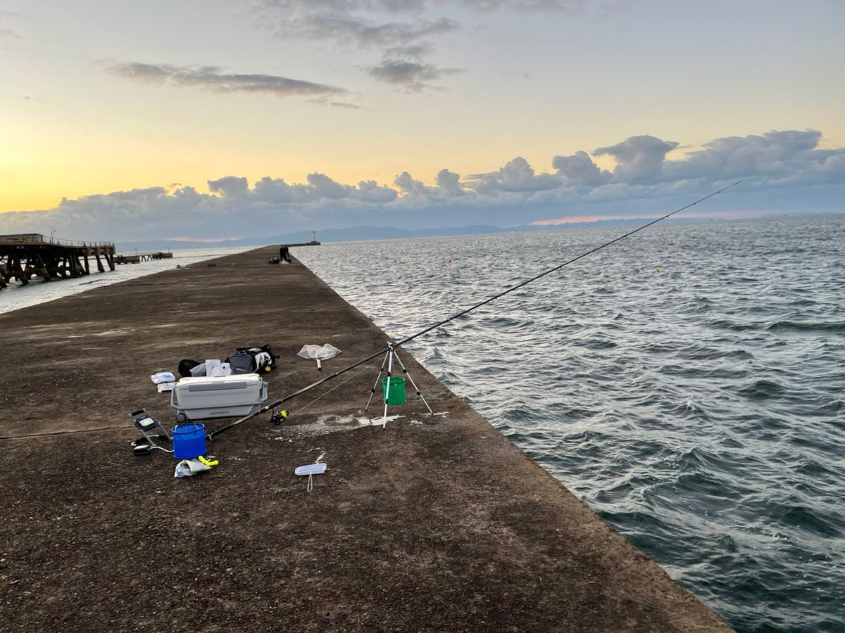 KP anglerさんの釣果 2枚目の画像