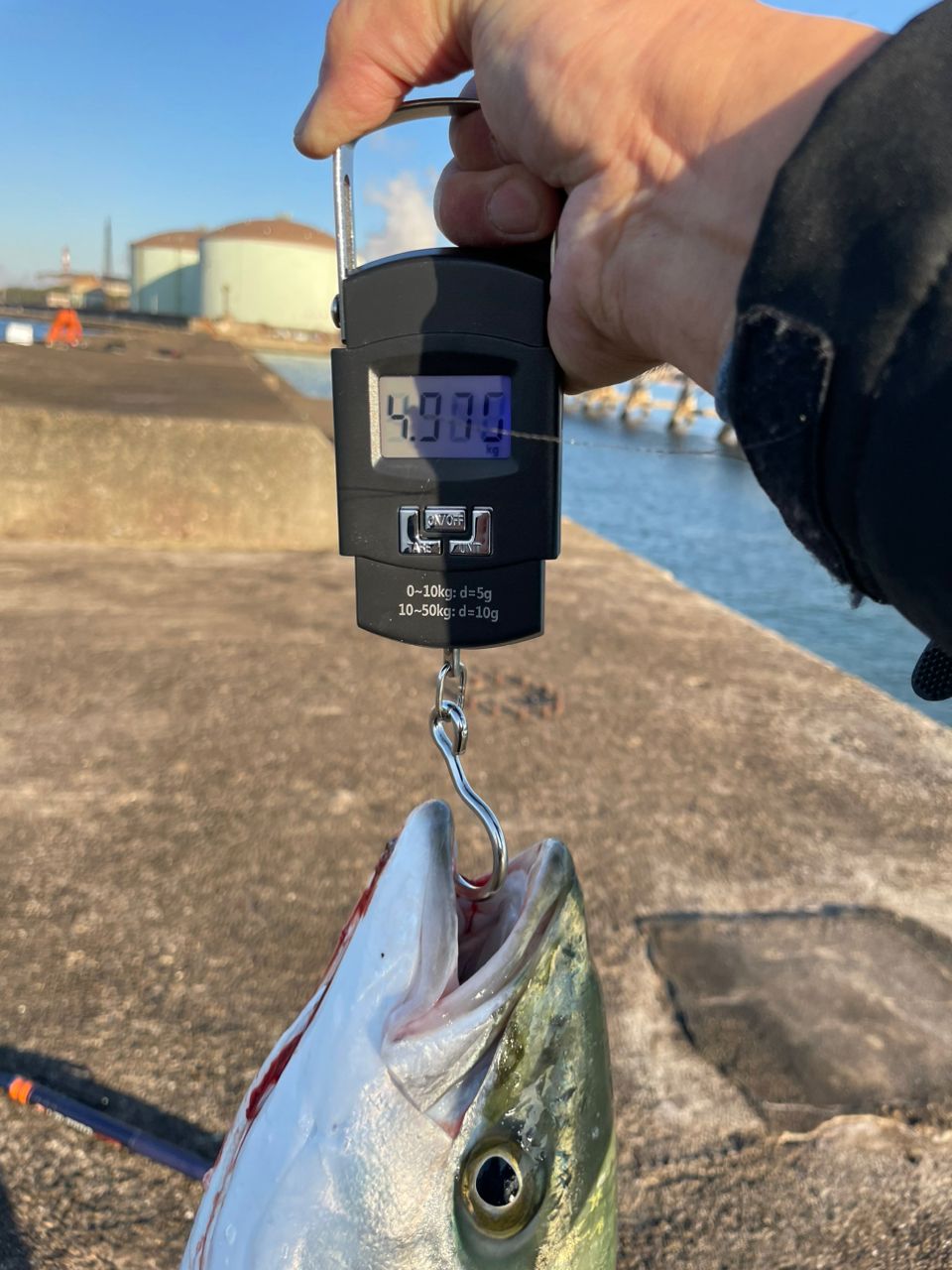 KP anglerさんの釣果 3枚目の画像