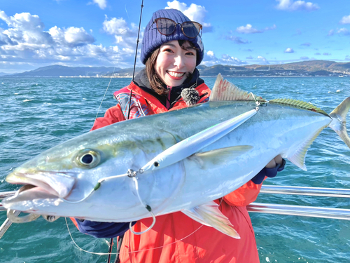 ブリの釣果