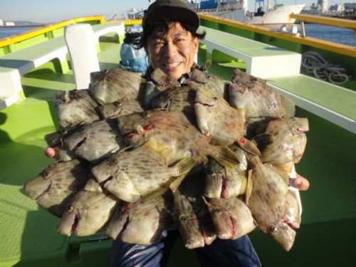 カワハギの釣果