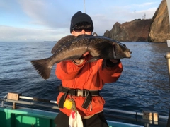 アイナメの釣果